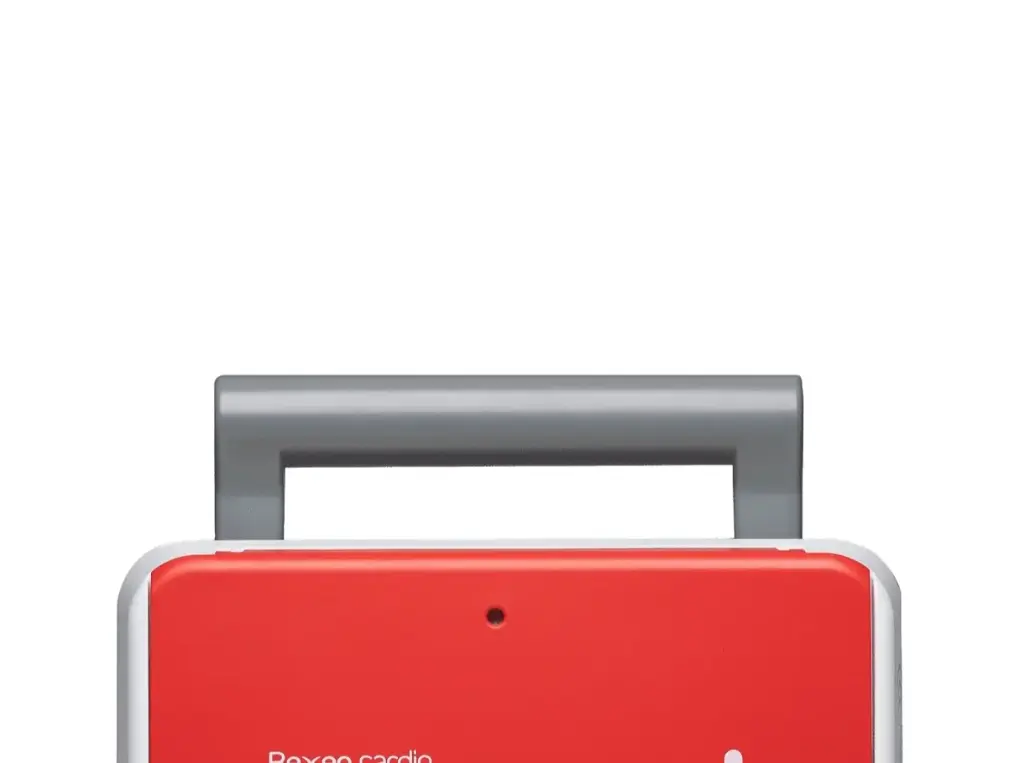 Agafador de transport original REANIBEX-100