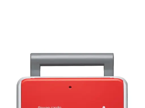 [DJS8100]  Asa de transporte original REANIBEX-100